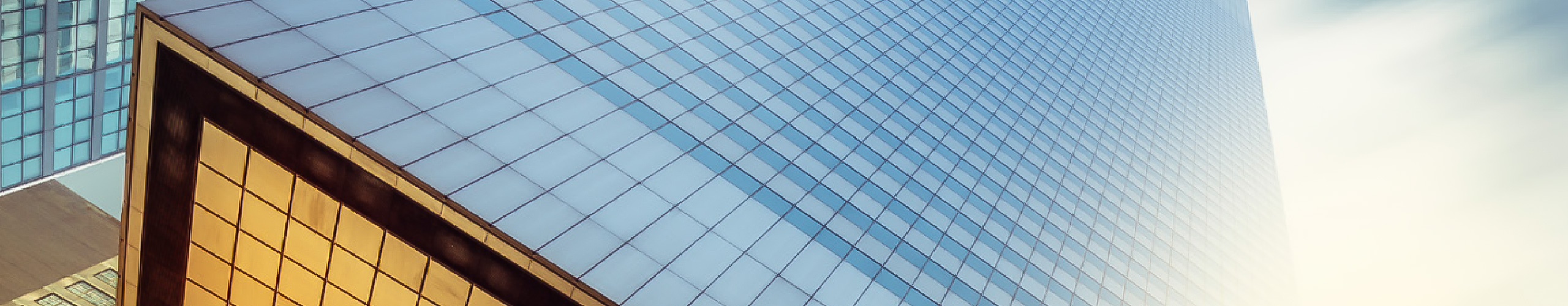 Tax Management the Next Frontier for Advisors: Cerulli Report